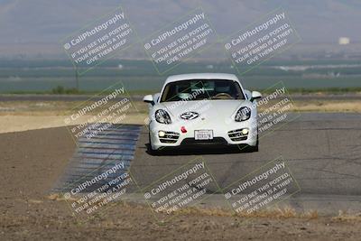 media/May-03-2024-PCA Central Coast (Fri) [[eaa7da0ee1]]/Yellow Group/Session 1 (Grapevine)/